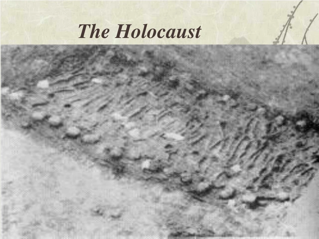 the holocaust