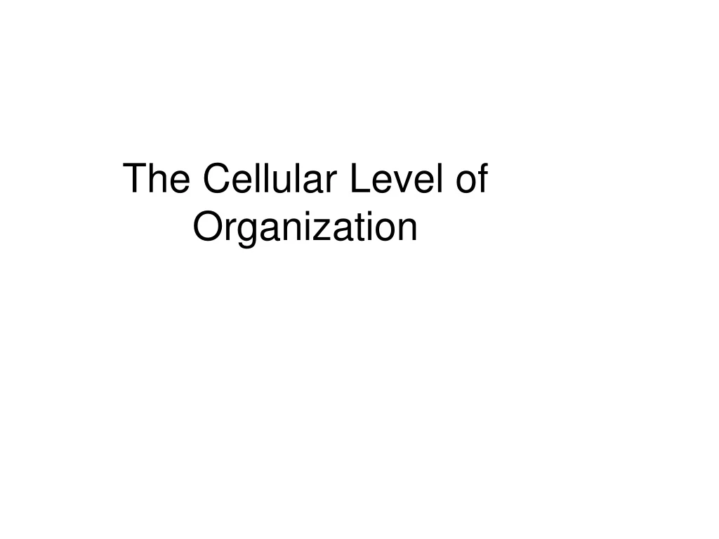 the cellular level of organization