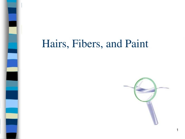 Hairs, Fibers, and Paint
