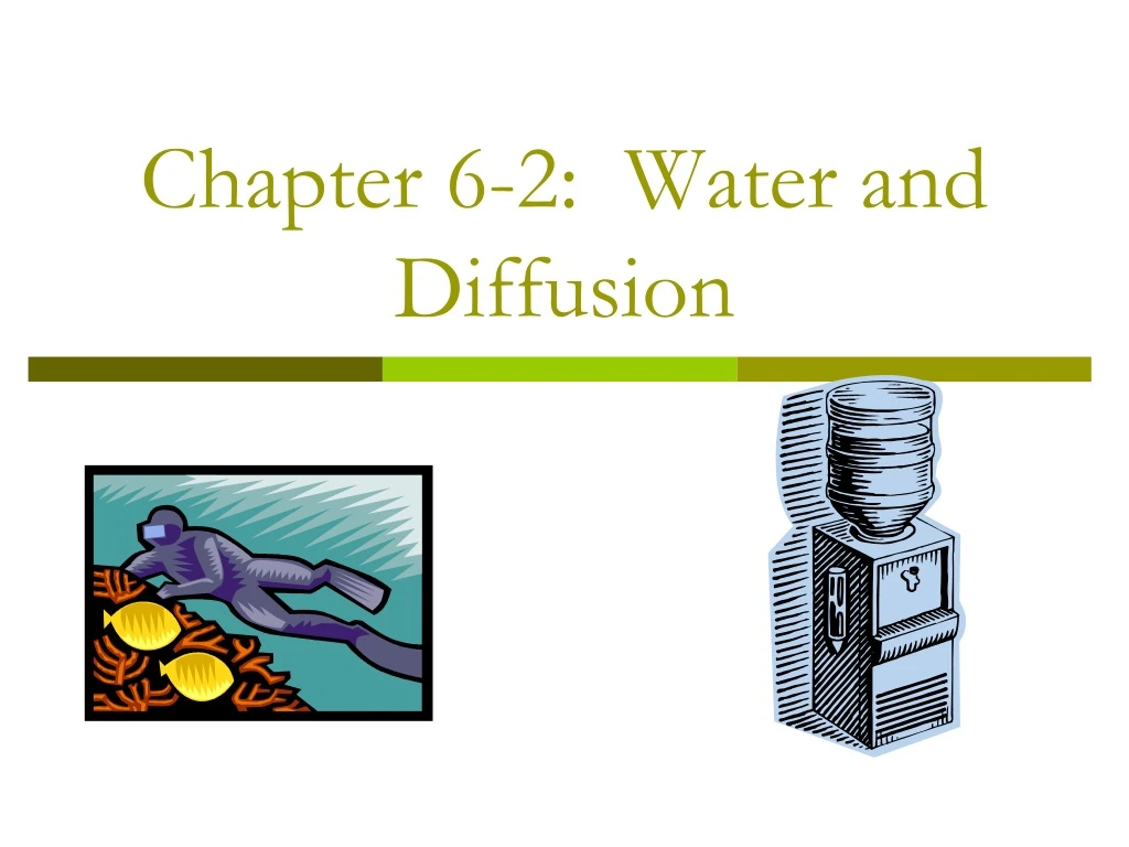 chapter 6 2 water and diffusion