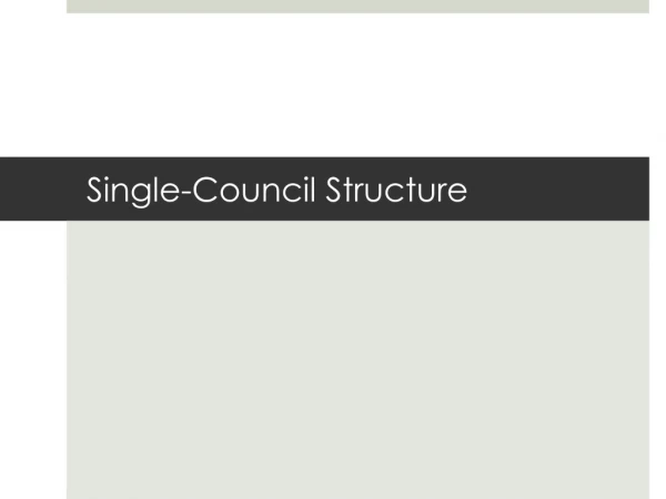 Single-Council Structure
