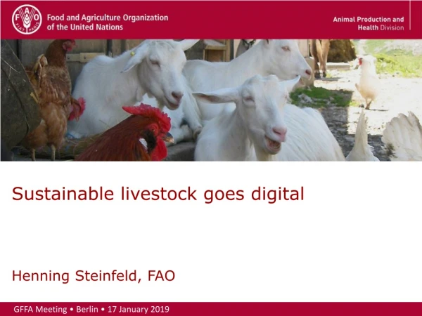 Sustainable livestock goes digital Henning Steinfeld, FAO