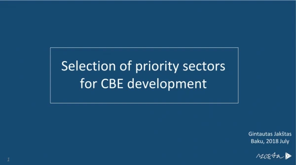 Selection of priority sectors for CBE development
