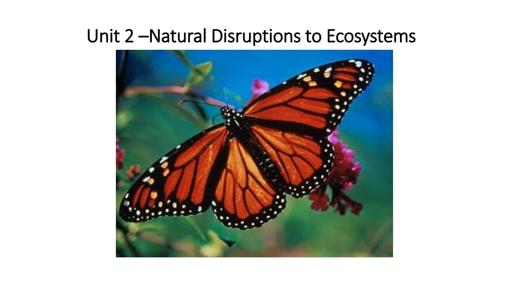 unit 2 natural disruptions to ecosystems