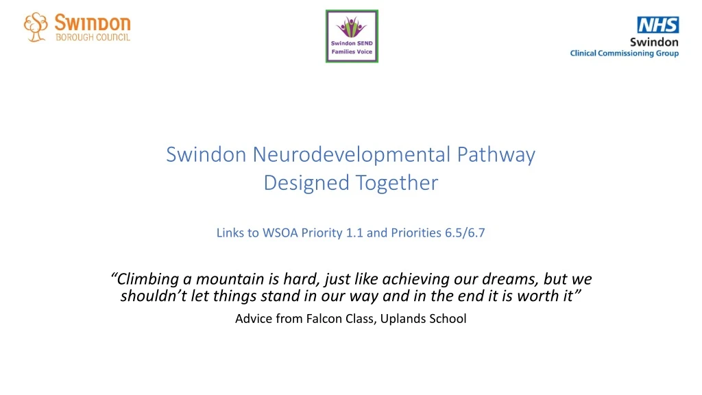 swindon neurodevelopmental pathway