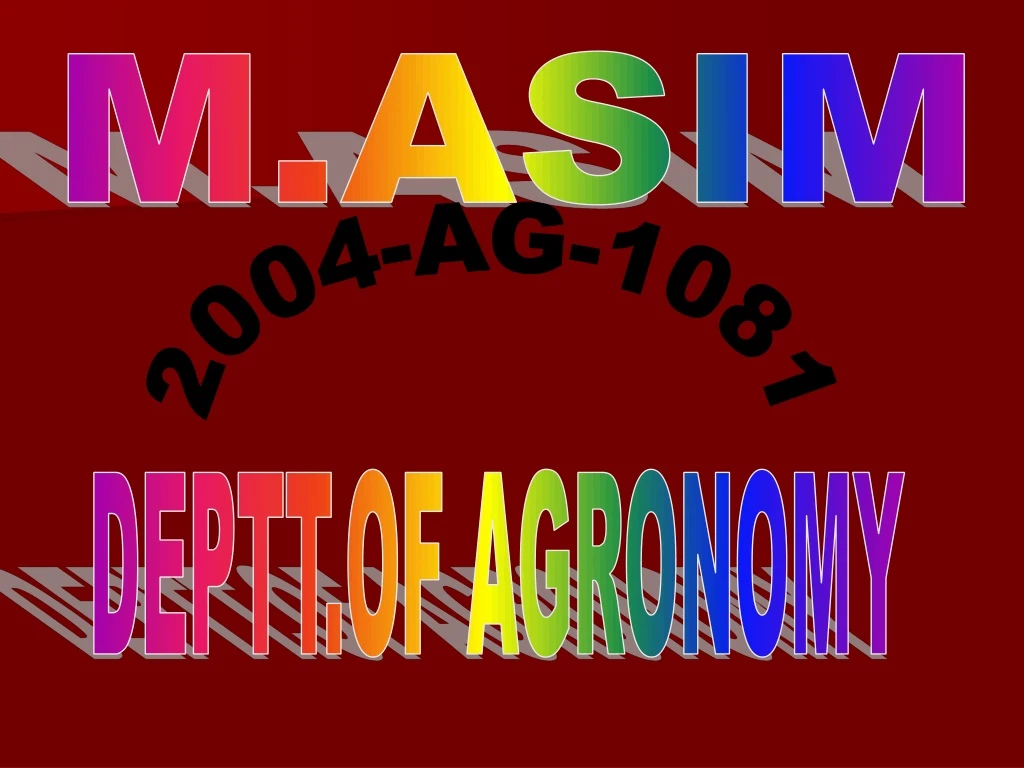 m asim