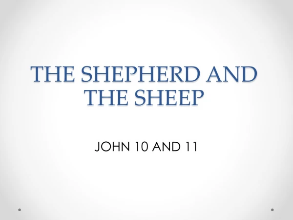 THE SHEPHERD AND THE SHEEP