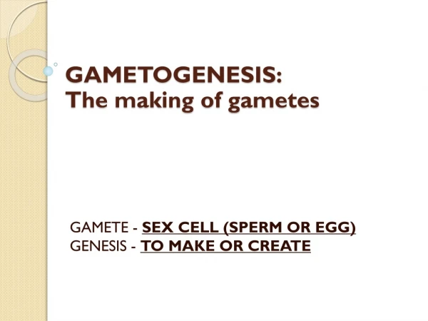 GAMETOGENESIS: The making of gametes