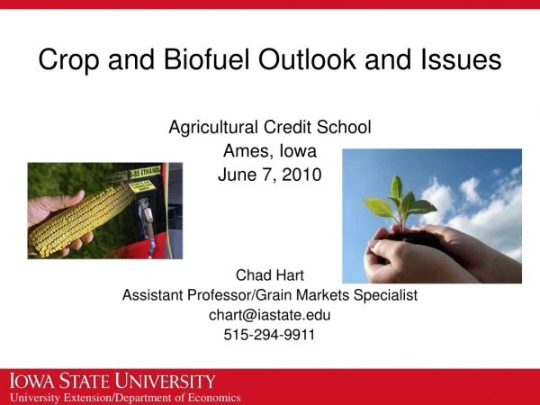 Crop and Biofuel Outlook and Issues
