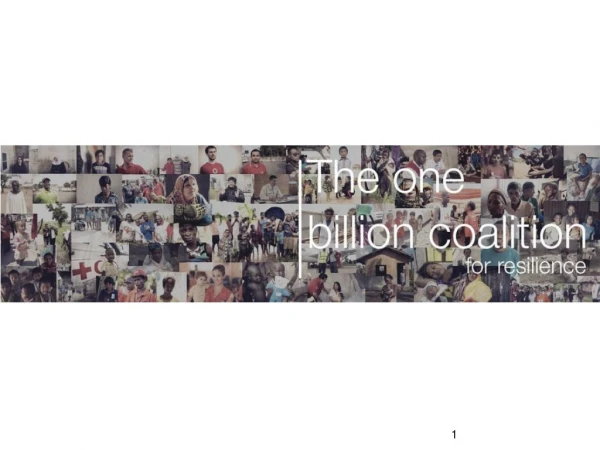 What is the One Billion Coalition?
