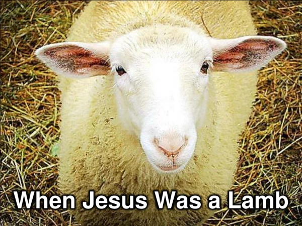 When Jesus Was a Lamb