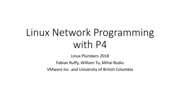 Linux Network Programming with P4