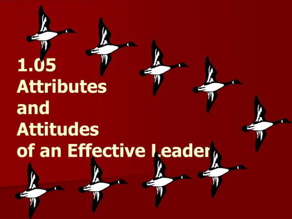 1.05 Attributes and Attitudes of an Effective Leader