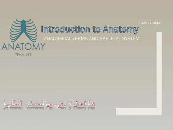 ANATOMICAL TERMS AND SKELETAL SYSTEM