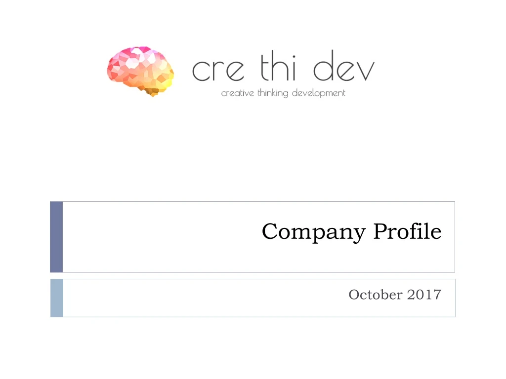 company profile