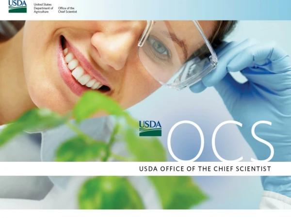 About the Office of the Chief Scientist (OCS) USDA Coordination Scientific Integrity