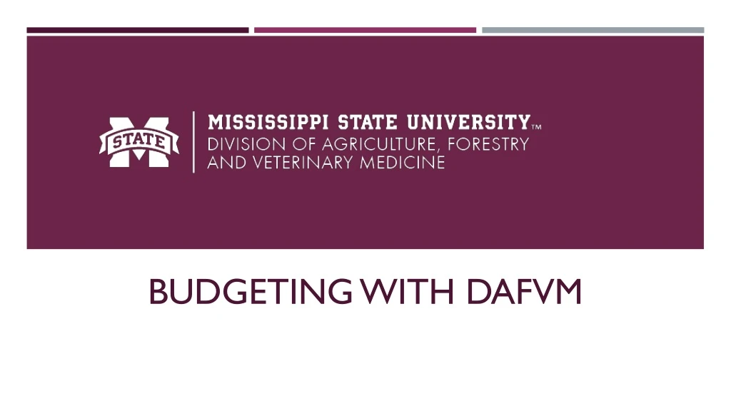 budgeting with dafvm