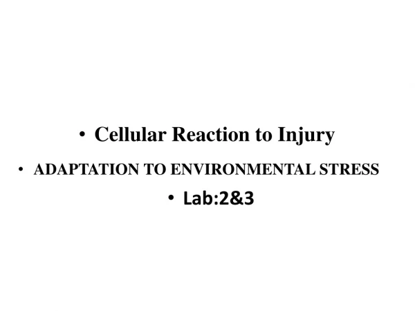 Cellular Reaction to Injury ADAPTATION TO ENVIRONMENTAL STRESS Lab:2&amp;3