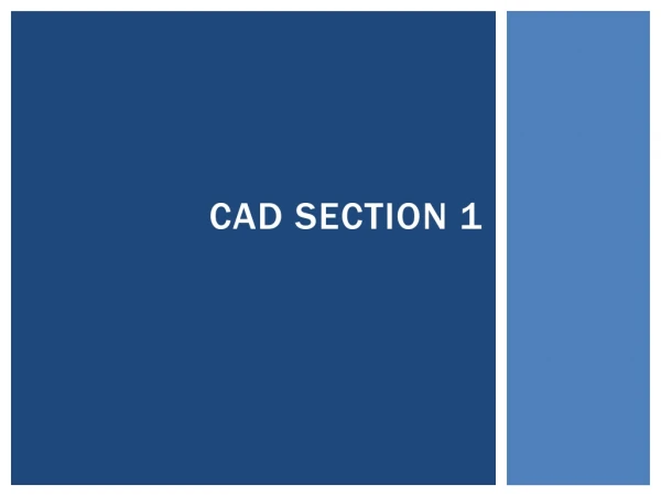 CAD SECTION 1