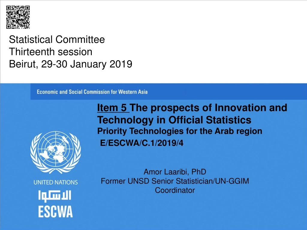 statistical committee thirteenth session beirut