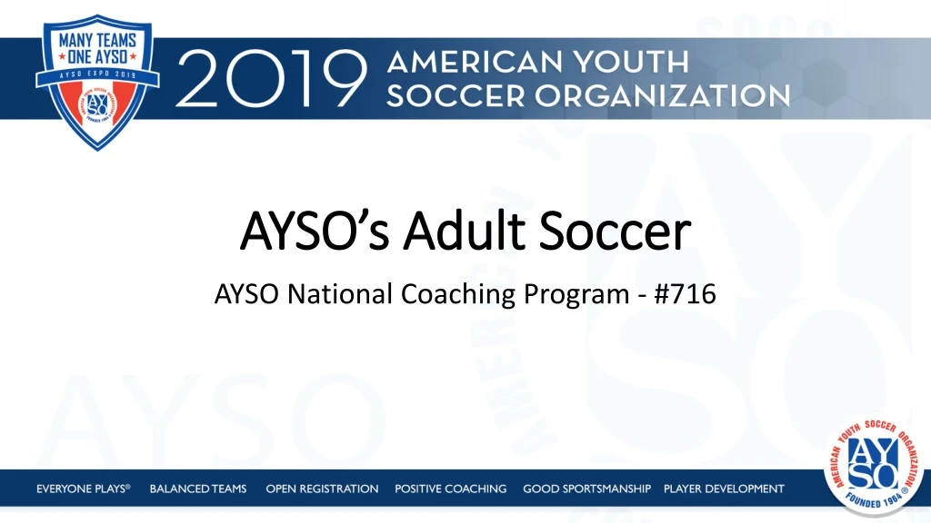 ayso s adult soccer
