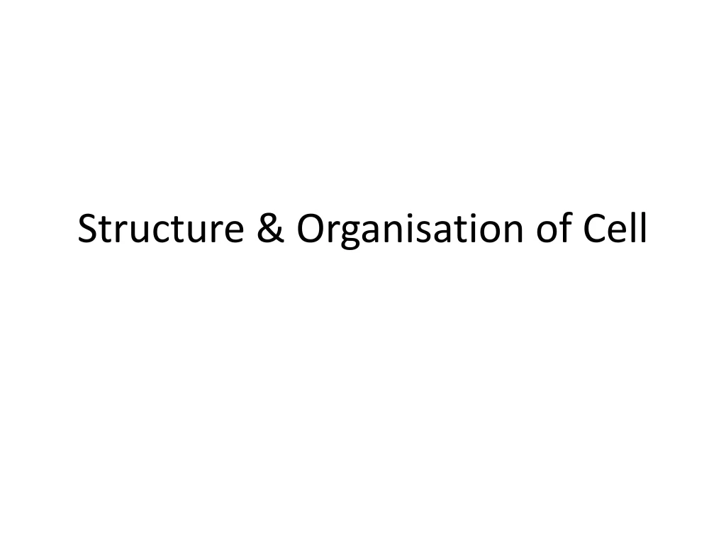 structure organisation of cell