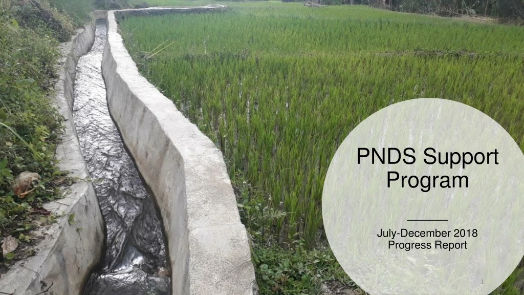 pnds support program