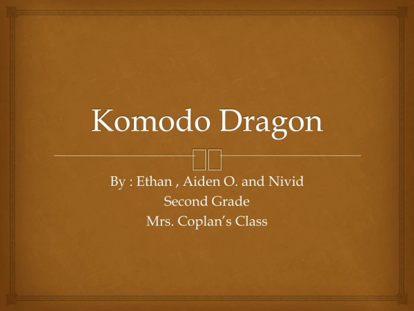 Komodo D ragon