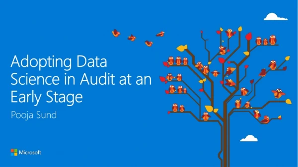 Adopting Data Science in Audit at an Early Stage