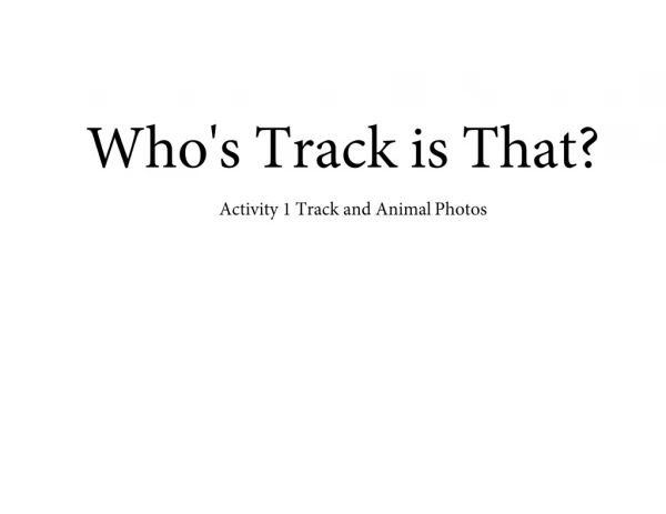 Who's	Track	is	That? Activity 1 Track and Animal Photos