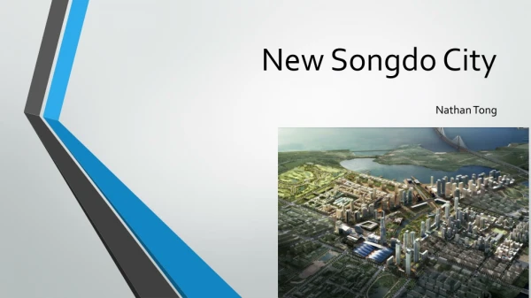 New Songdo City