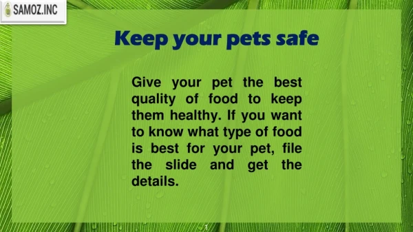 Keep your pets safe