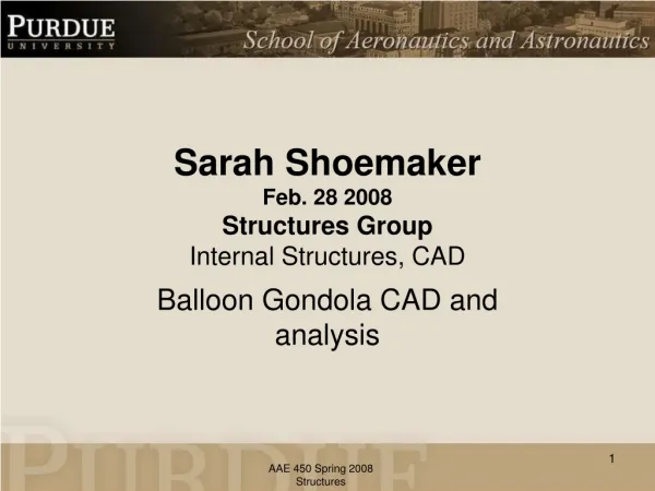 Sarah Shoemaker Feb. 28 2008 Structures Group Internal Structures, CAD