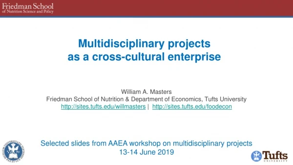 Multidisciplinary projects as a cross-cultural enterprise