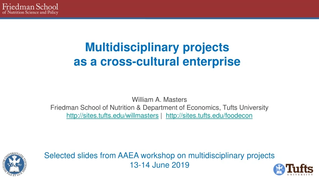 multidisciplinary projects as a cross cultural enterprise