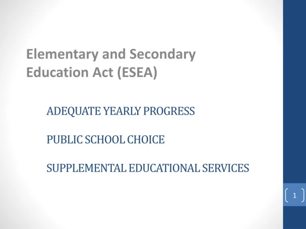 Adequate Yearly Progress Public School Choice Supplemental Educational Services