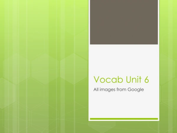 Vocab Unit 6