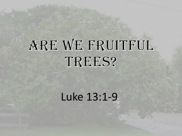 Are we fruitful trees?
