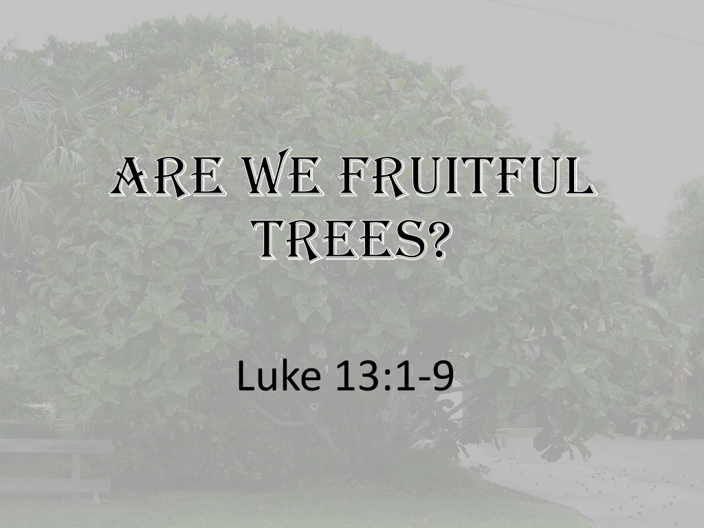 are we fruitful trees