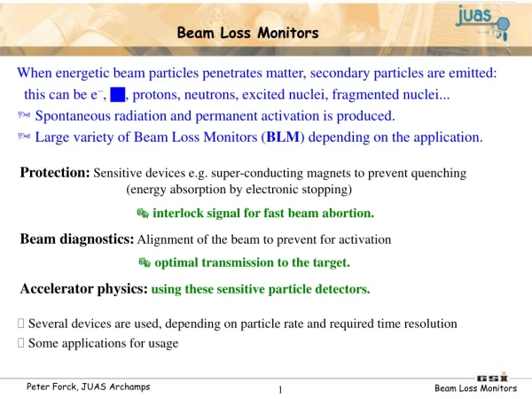 Beam Loss Monitors