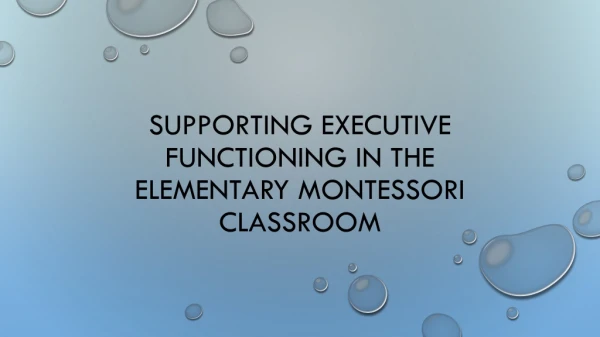 Supporting executive functioning in the elementary Montessori classroom