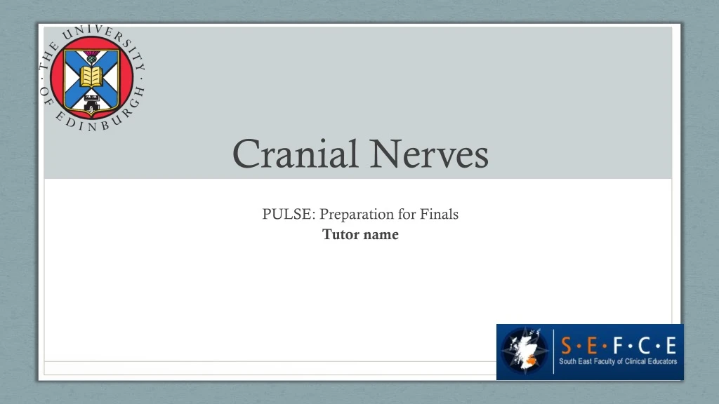 cranial nerves