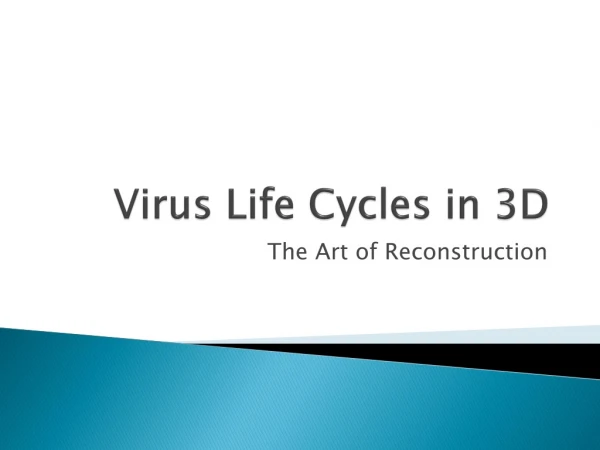 Virus Life Cycles in 3D