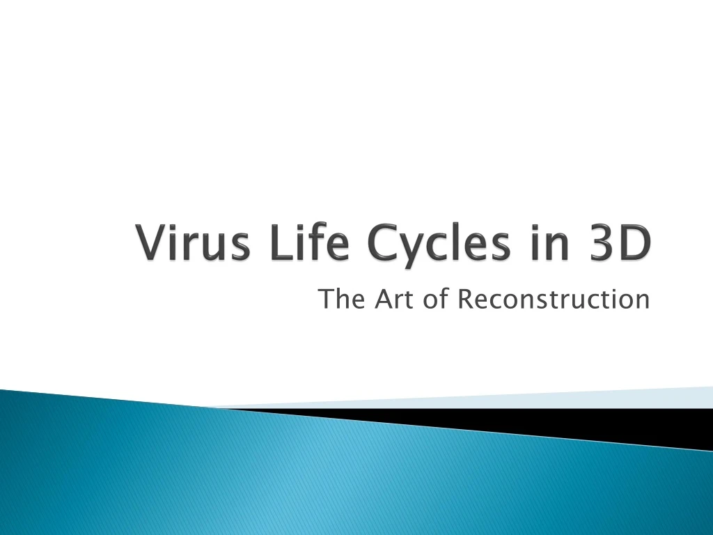 virus life cycles in 3d