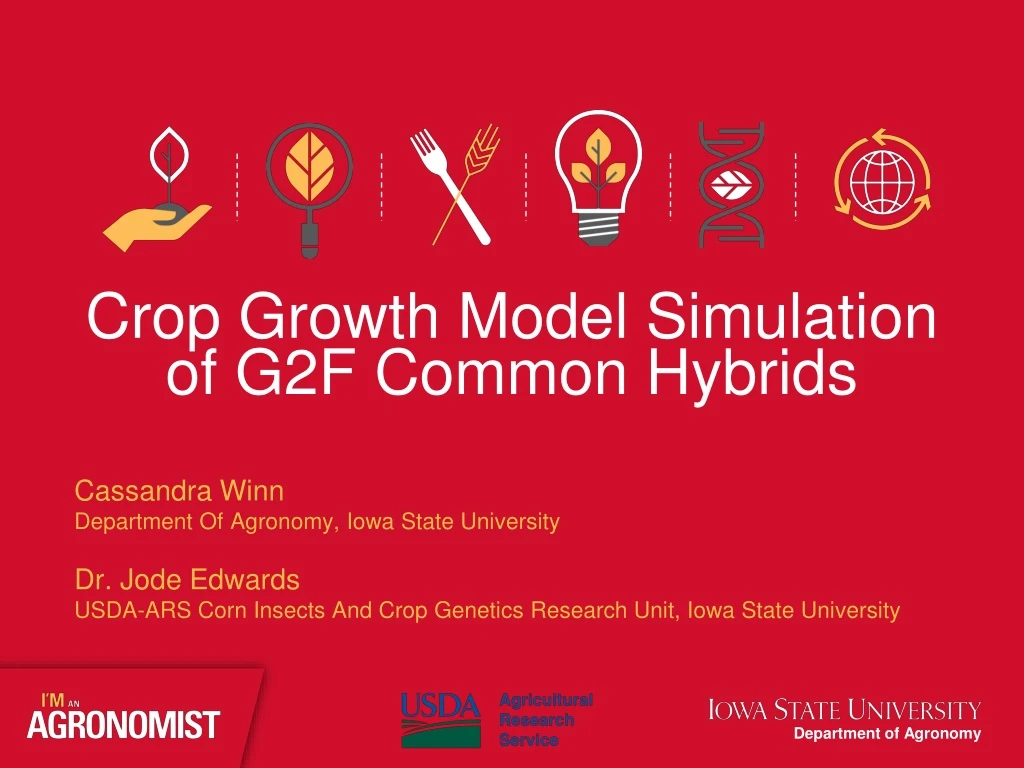 crop growth model simulation of g2f common hybrids
