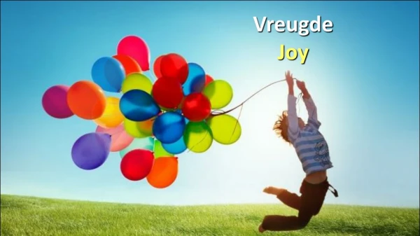Vreugde Joy