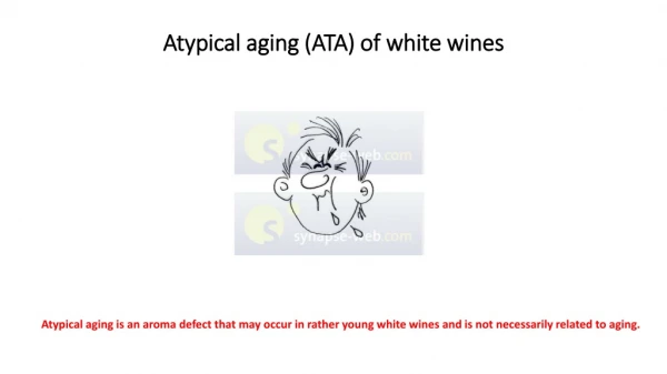 Atypical a ging (ATA) of white w ines