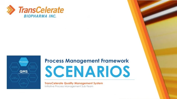 Process Management Framework SCENARIOS