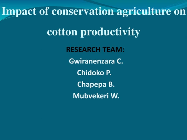 Impact of conservation agriculture on cotton productivity