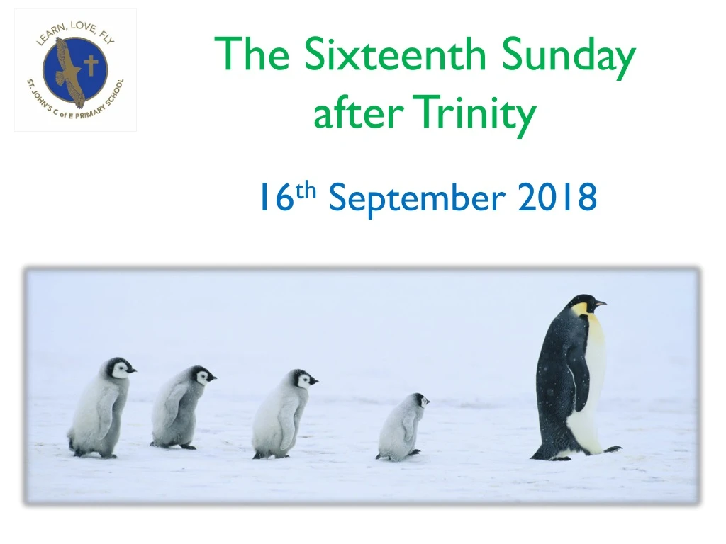 the sixteenth sunday after trinity